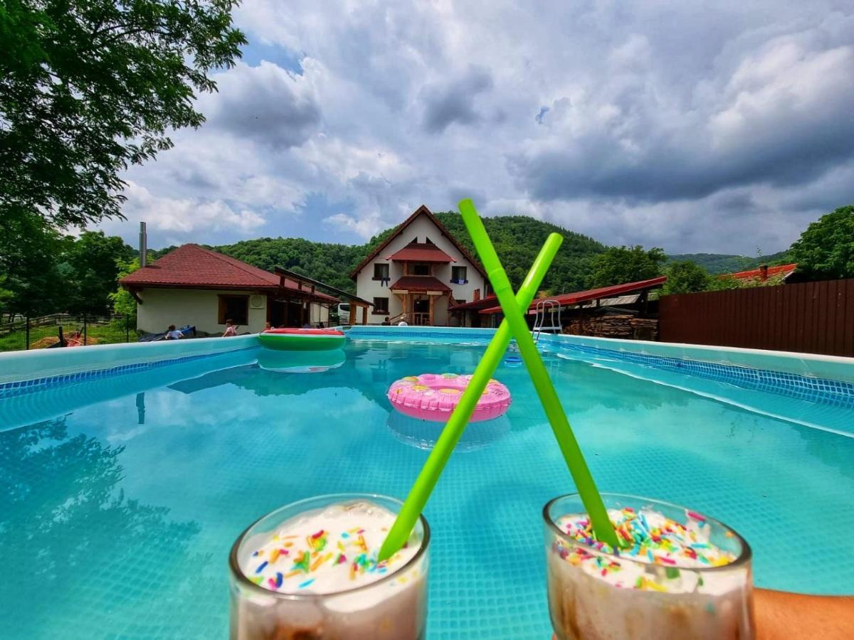 Villa Conacul De Sub Munte à Novaci-Străini Extérieur photo