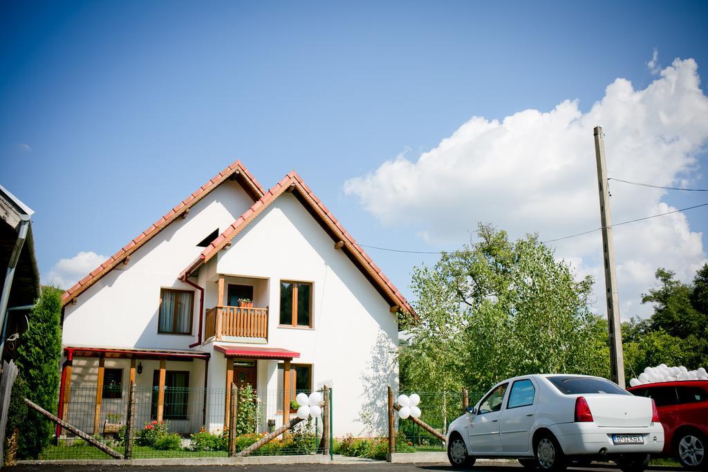 Villa Conacul De Sub Munte à Novaci-Străini Extérieur photo