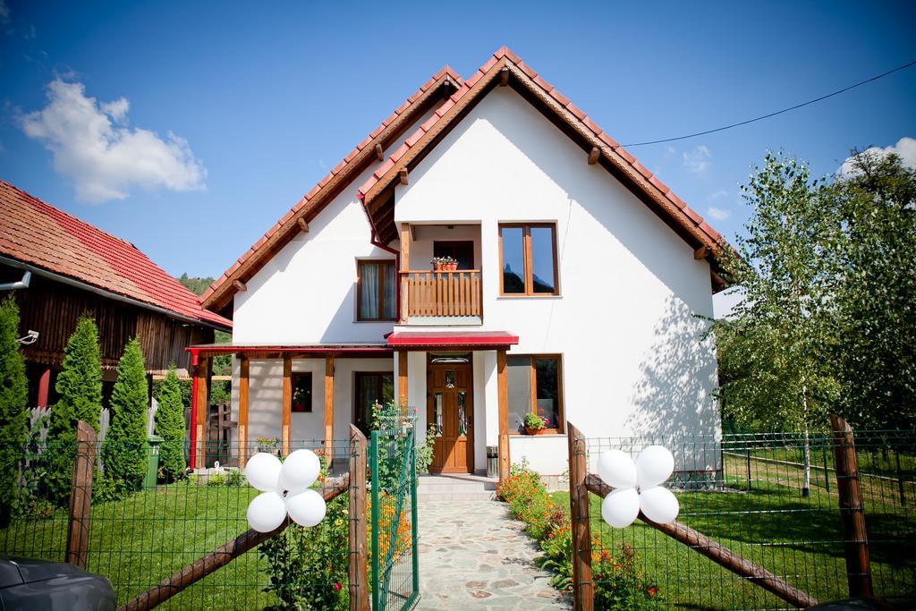 Villa Conacul De Sub Munte à Novaci-Străini Extérieur photo