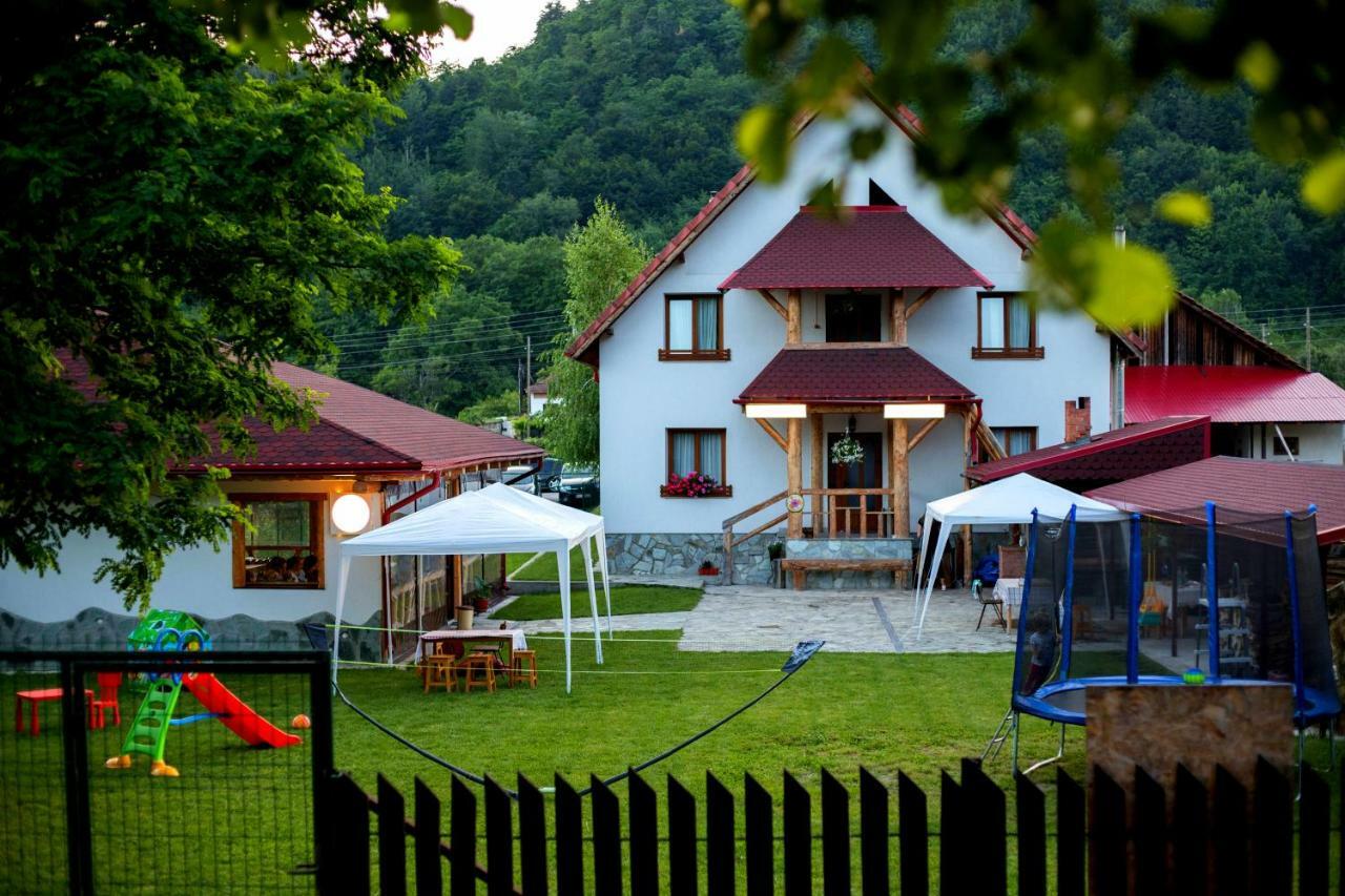 Villa Conacul De Sub Munte à Novaci-Străini Extérieur photo
